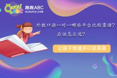 外教口语一对一哪些平台比较靠谱？应该怎么选？