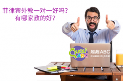 菲律宾外教一对一好吗？有哪家教的好？