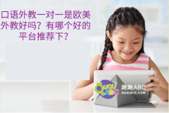 口语外教一对一是欧美外教好吗？有哪个好的平台推荐下？