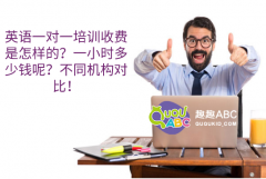 英语一对一培训收费是怎样的？一小时多少钱呢？不同机构对比！