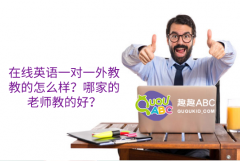 在线英语一对一外教教的怎么样？哪家的老师教的好？