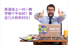 英语线上一对一教学哪个平台好？看这几大机构对比！