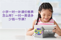 小学一对一补课价格表怎么样？一对一英语多少钱一节课？