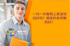 一对一外教网上英语培训好吗？哪家的老师教的好？