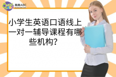 小学生英语口语线上一对一辅导课程有哪些机构？