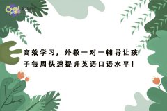 高效学习，外教一对一辅导让孩子每周快速提升英语口语水平！